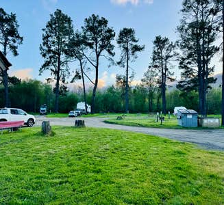 Camper-submitted photo from Olema Campground