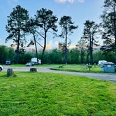 Review photo of Olema Campground by Dustin C., April 3, 2024