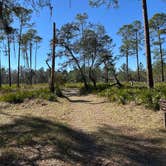 Review photo of Dogwood Campground — O'Leno State Park by Chris A., January 12, 2025