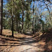 Review photo of Dogwood Campground — O'Leno State Park by Chris A., January 12, 2025