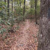 Review photo of Dogwood Campground — O'Leno State Park by Adam B., December 15, 2025