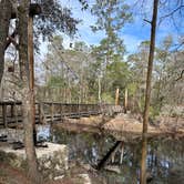 Review photo of Dogwood Campground — O'Leno State Park by Chris A., January 12, 2025