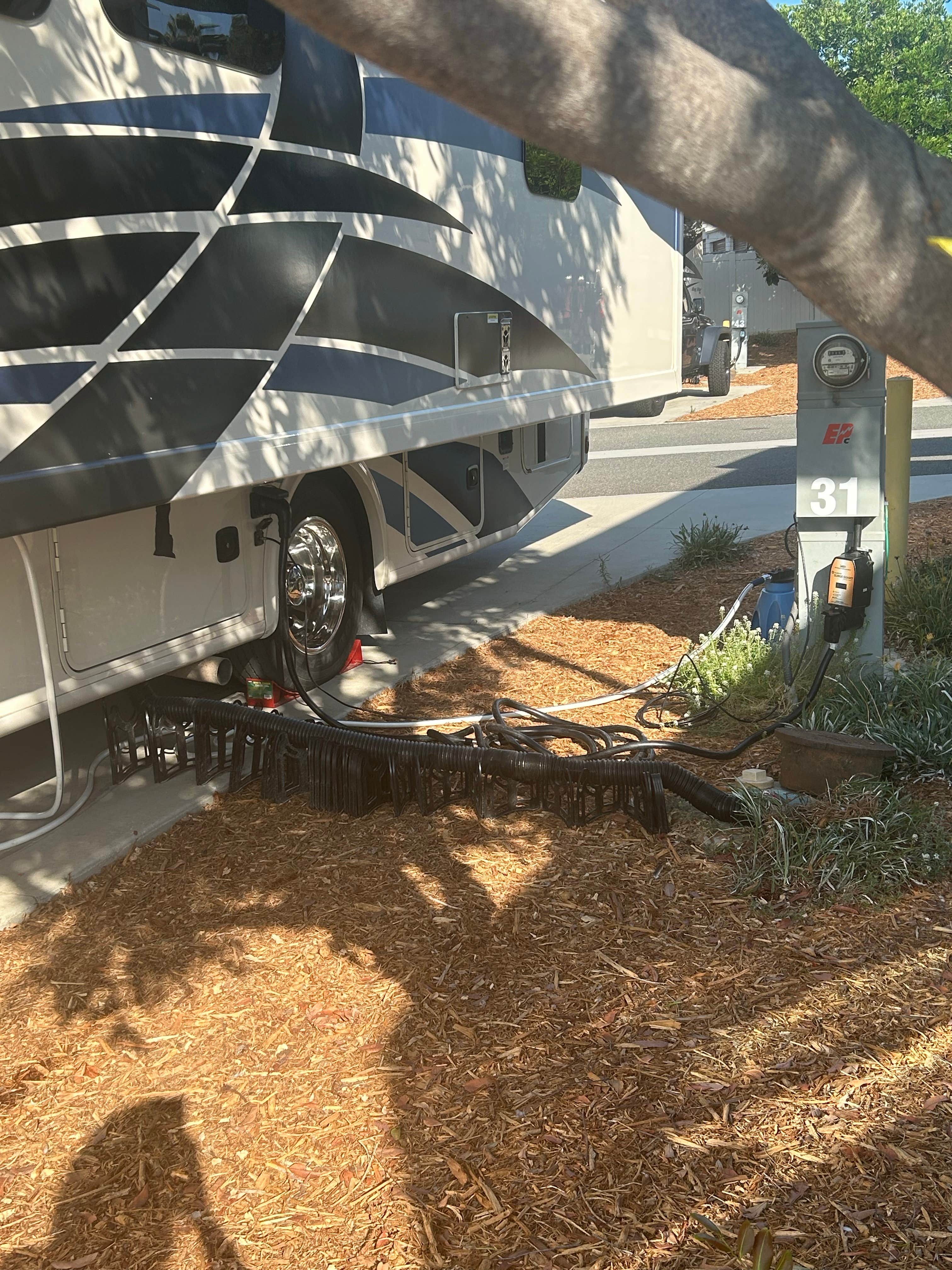 Camper submitted image from Olive Avenue RV Resort - 1