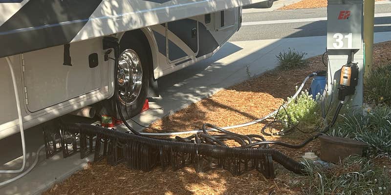 Camper submitted image from Olive Avenue RV Resort