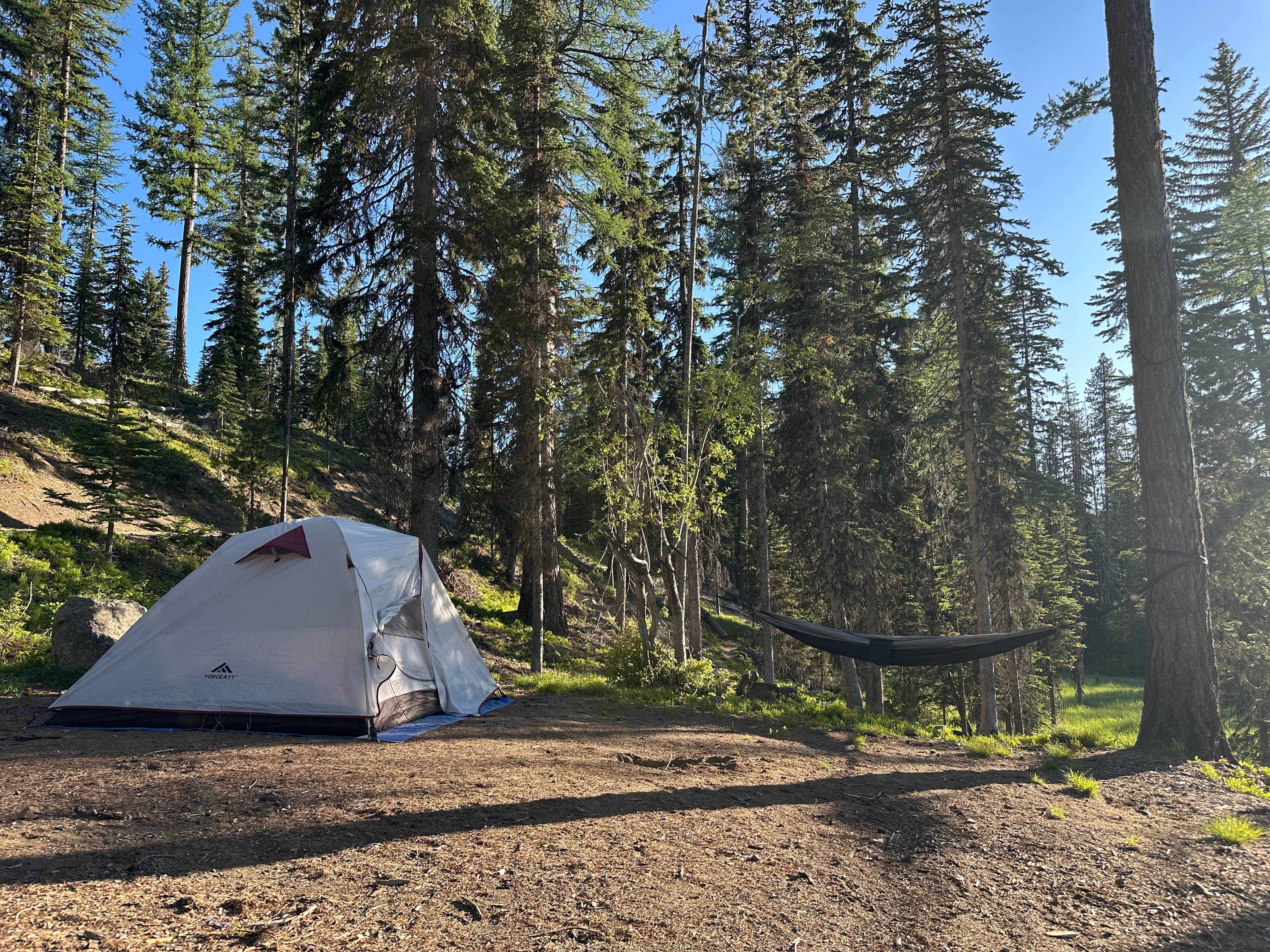 Camper submitted image from Olive Lake Campground (Or) — Umatilla National Forest - 4