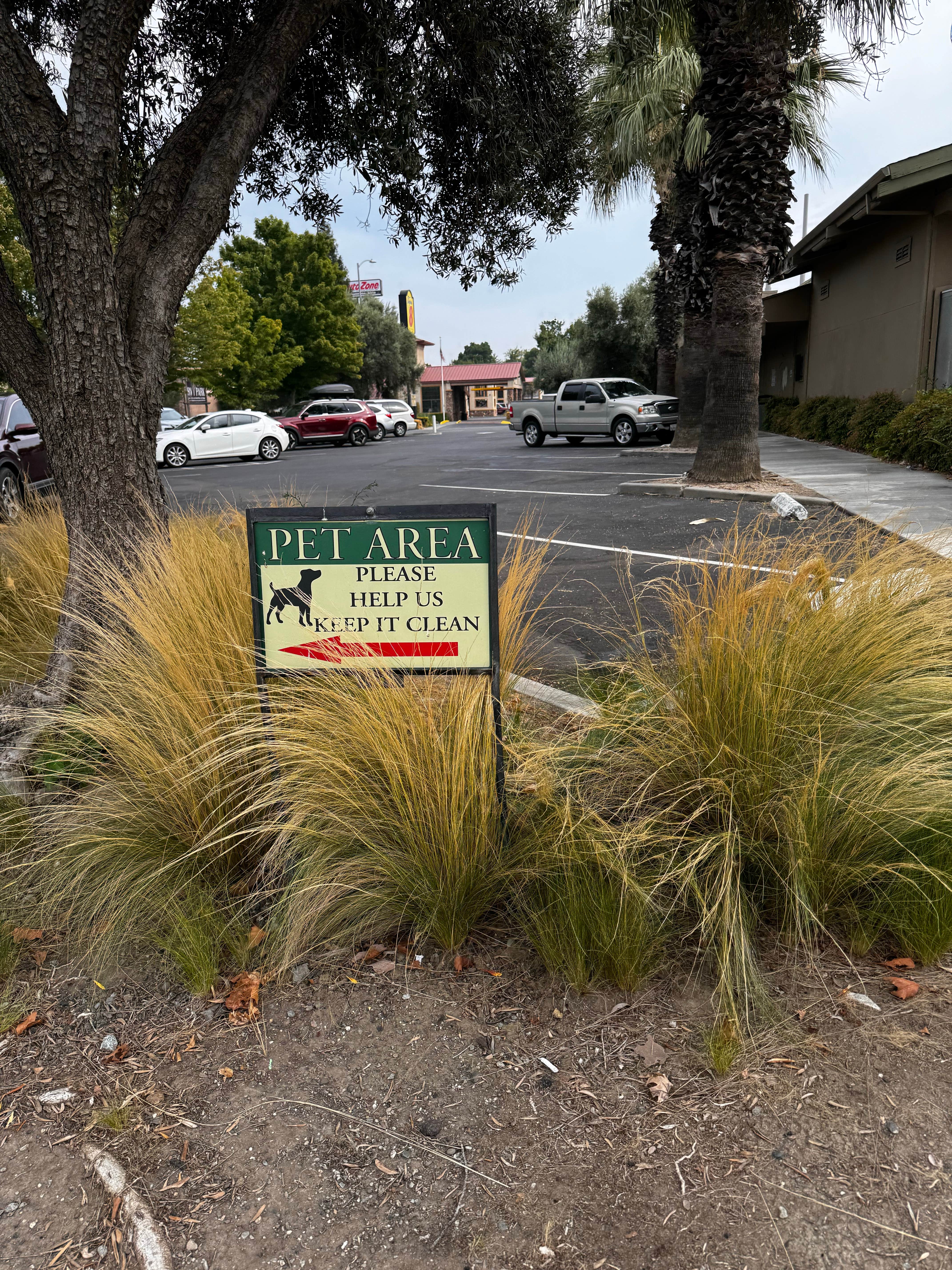 Julie M.'s photo of camping with pets at Olive Pit Dispersed Lot near Elk Creek, CA