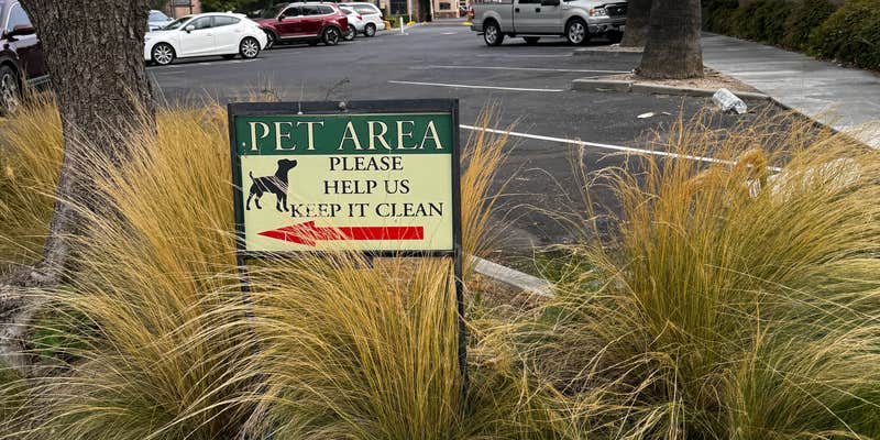 Camper submitted image from Olive Pit Dispersed Lot