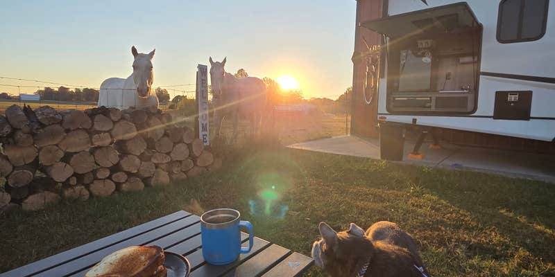 Camper submitted image from Oliver Family Farm
