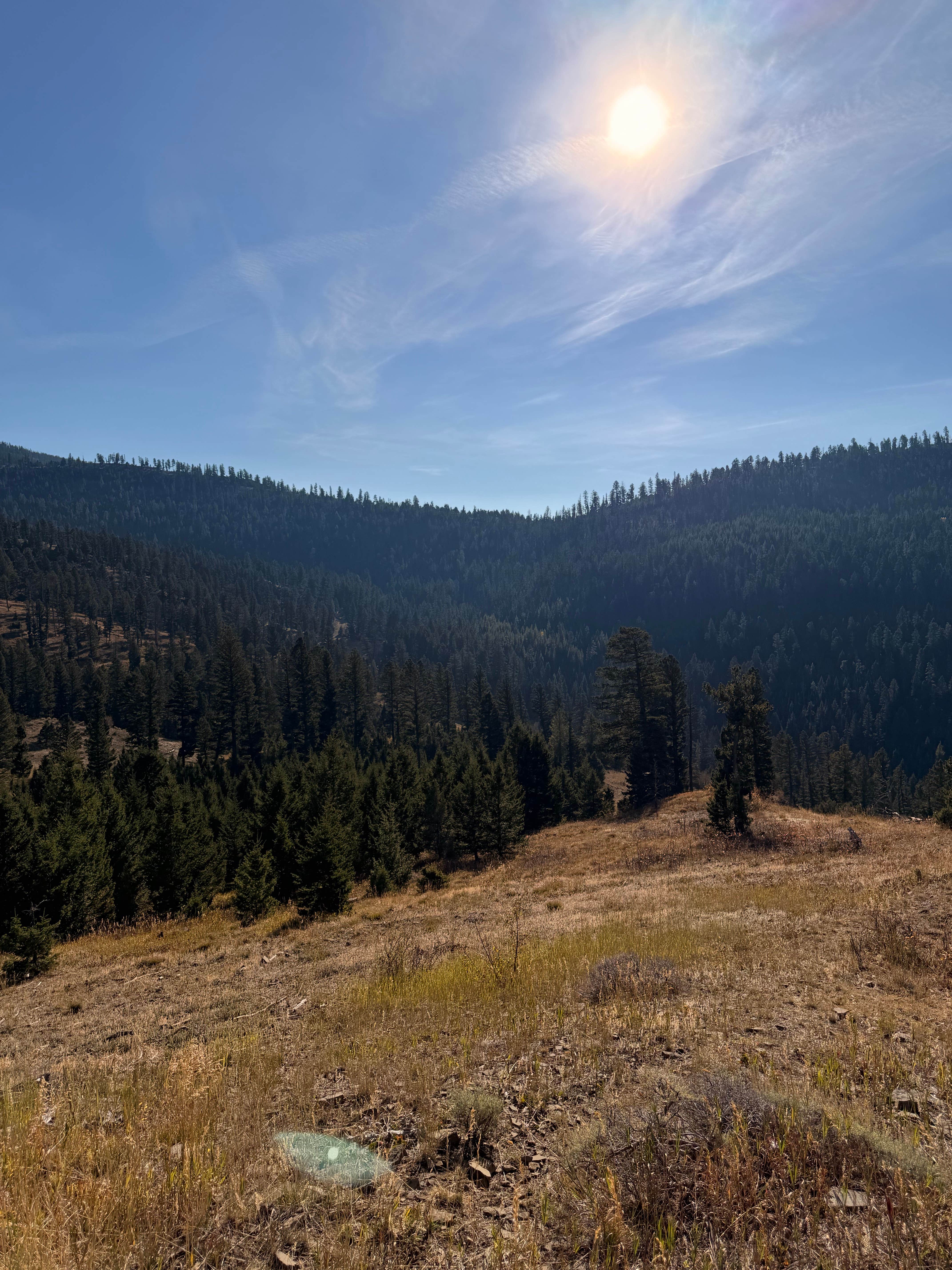 Camping near Battle Ridge Campground: Olson Creek Dispersed, Bozeman, Montana