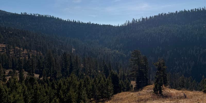 Camper submitted image from Olson Creek Dispersed