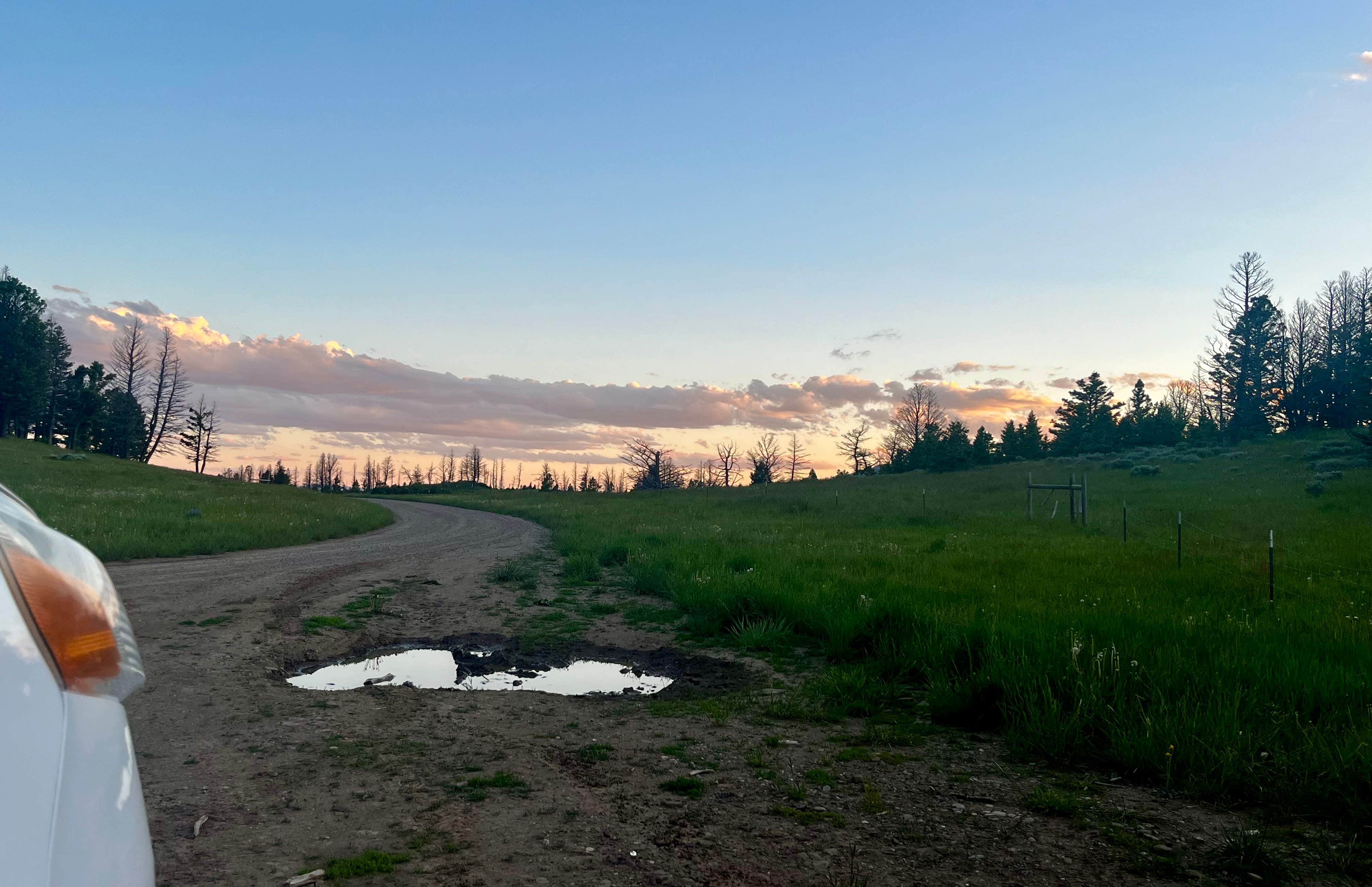 Marasha L.'s photo of a dispersed camping area at Olson Creek Dispersed near Livingston, MT