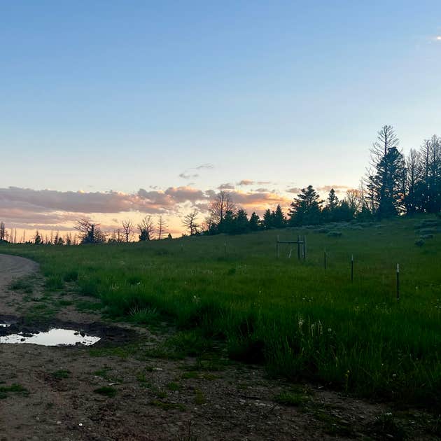 Olson Creek Dispersed Camping | Bozeman, Montana