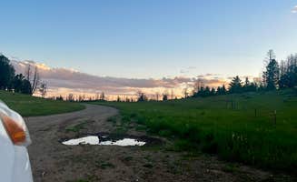 Marasha L.'s photo of a dispersed camping area at Olson Creek Dispersed near Bozeman, MT