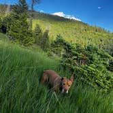 Review photo of Olson Creek Dispersed by Marasha , July 6, 2024