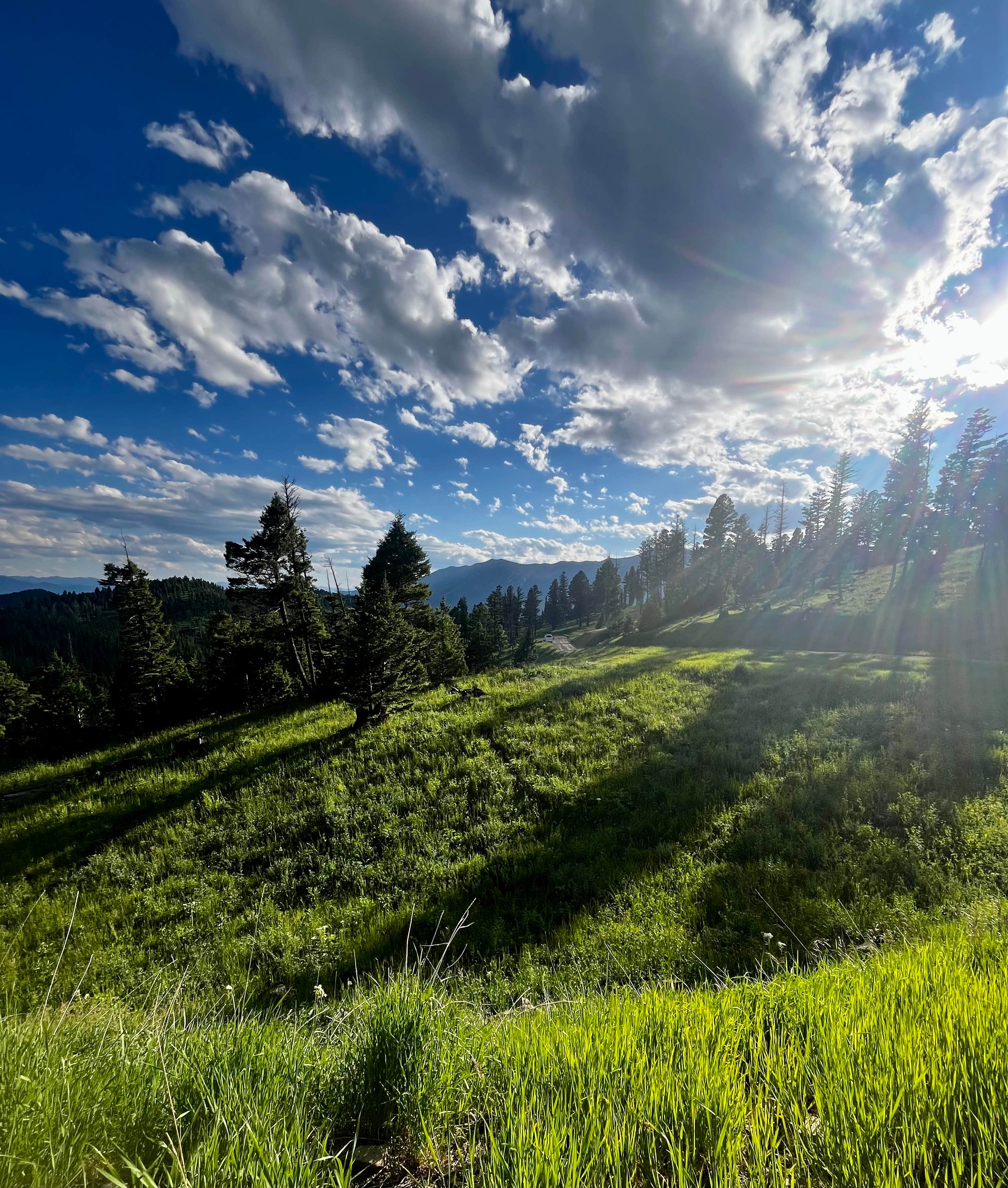 Camper-submitted photo at Olson Creek Dispersed near Livingston, MT