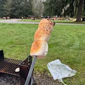Review photo of Olympia Campground by Steve , November 22, 2025