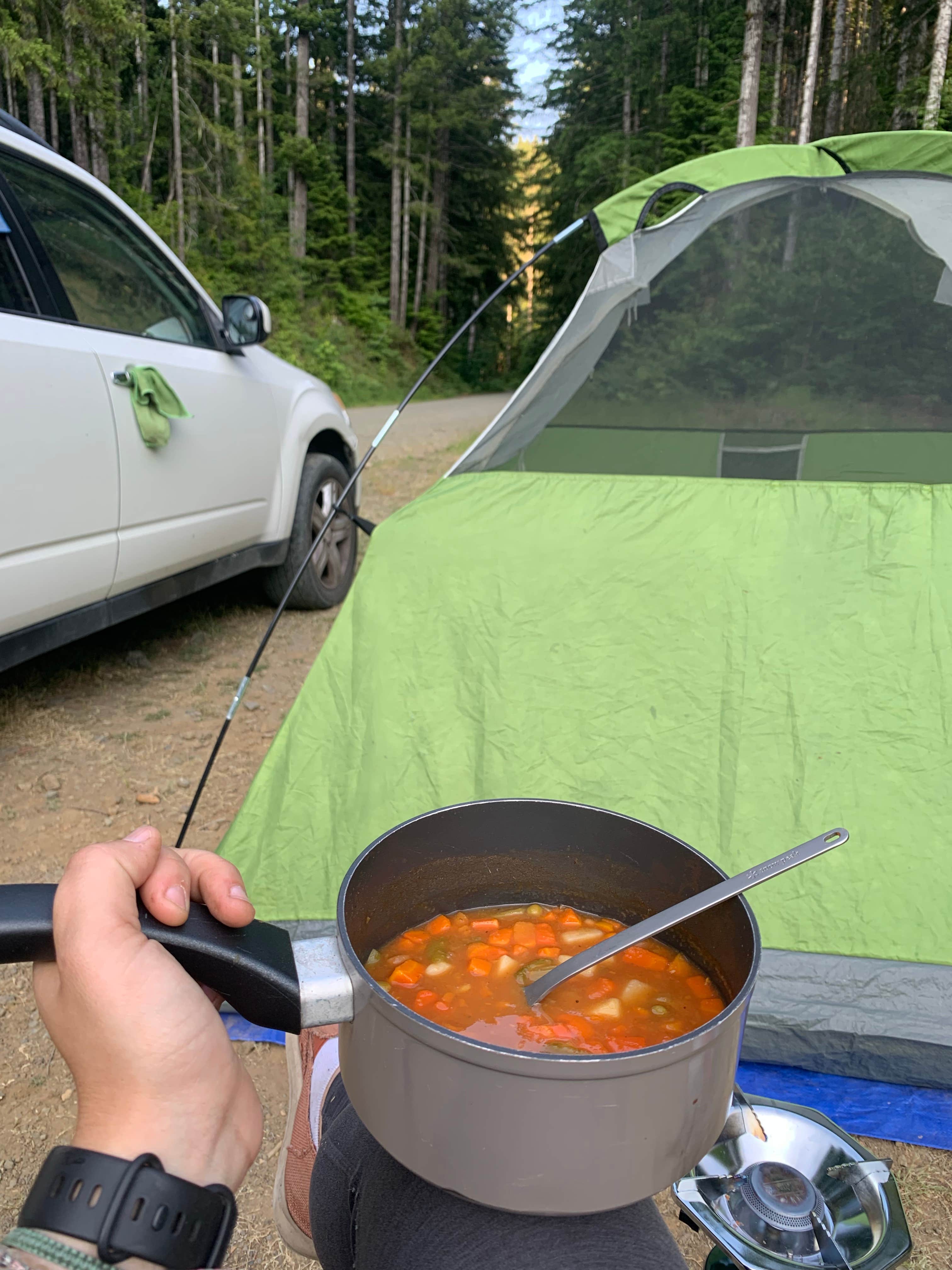 Camper submitted image from Olympic National Forest Dispersed Camping - 1