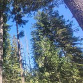 Review photo of Olympic National Forest Falls View Campground by Steve M., August 5, 2024