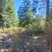 Review photo of Olympic National Forest Falls View Campground by Steve M., August 5, 2024