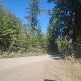 Review photo of Olympic National Forest Falls View Campground by Steve M., August 5, 2024