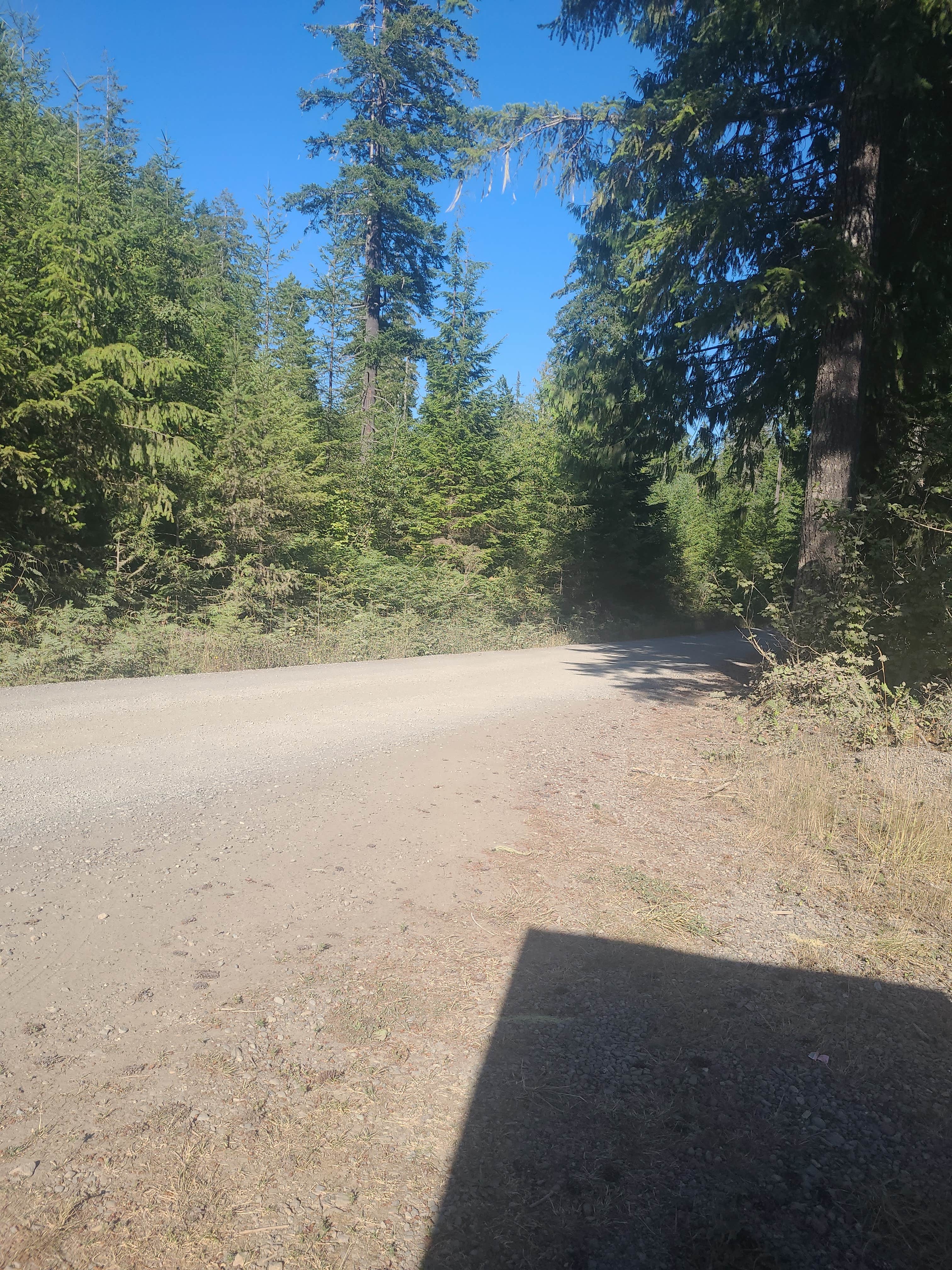 Camper submitted image from Olympic National Forest Falls View Campground - 2