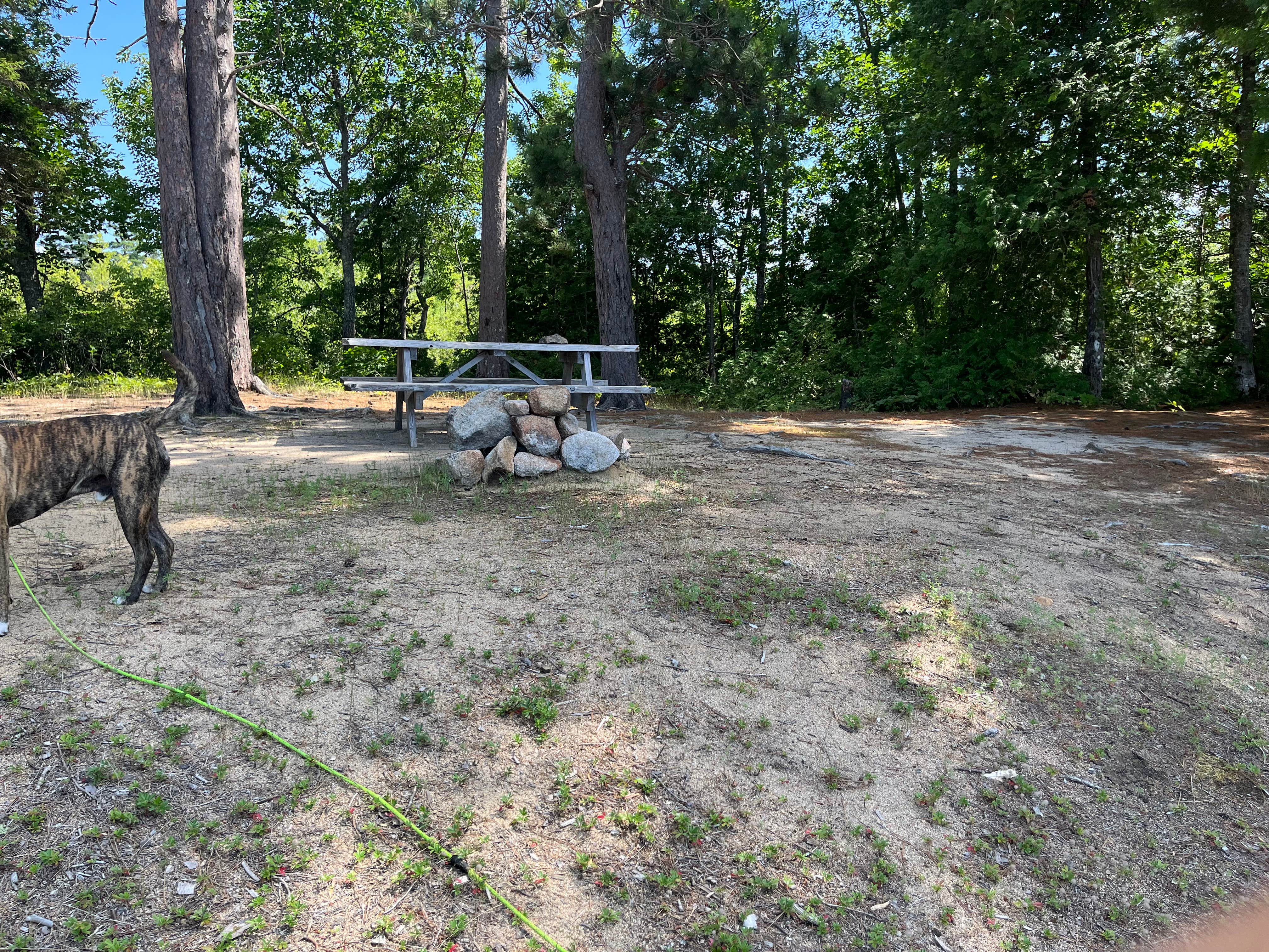 Camper-submitted photo at Omaha Beach in Maine
