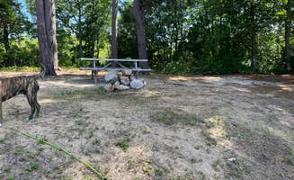Cindy D.'s photo of camping with pets at Omaha Beach near Greenville Junction, ME