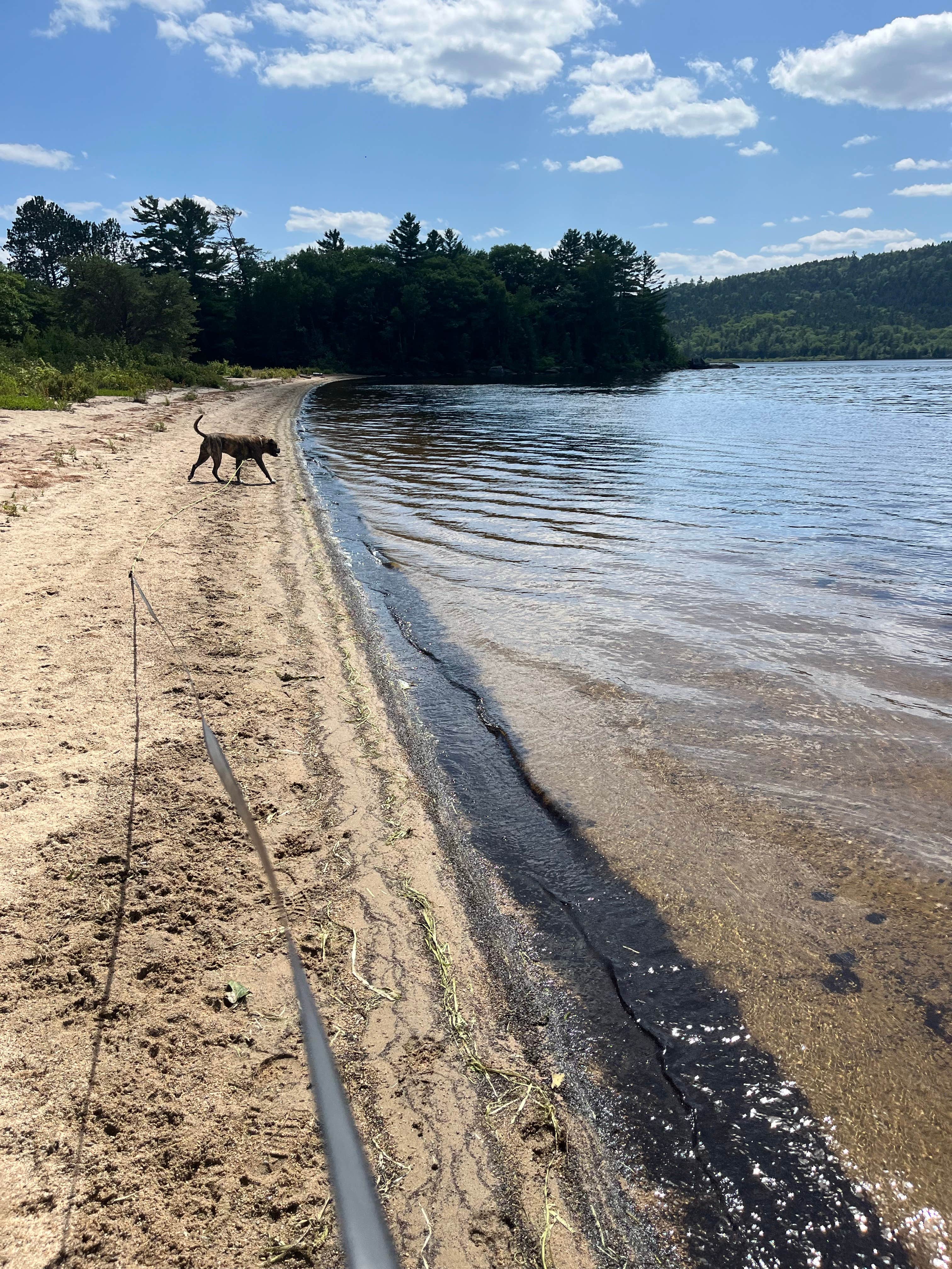 Cindy D.'s photo of camping with pets at Omaha Beach near Willimantic, ME