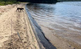 Cindy D.'s photo of camping with pets at Omaha Beach near Stacyville, ME