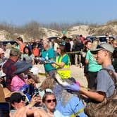 Review photo of On The Beach RV Park by Mark S., February 13, 2026