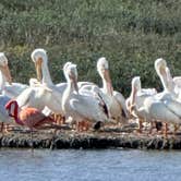 Review photo of On The Beach RV Park by Mark S., February 13, 2026