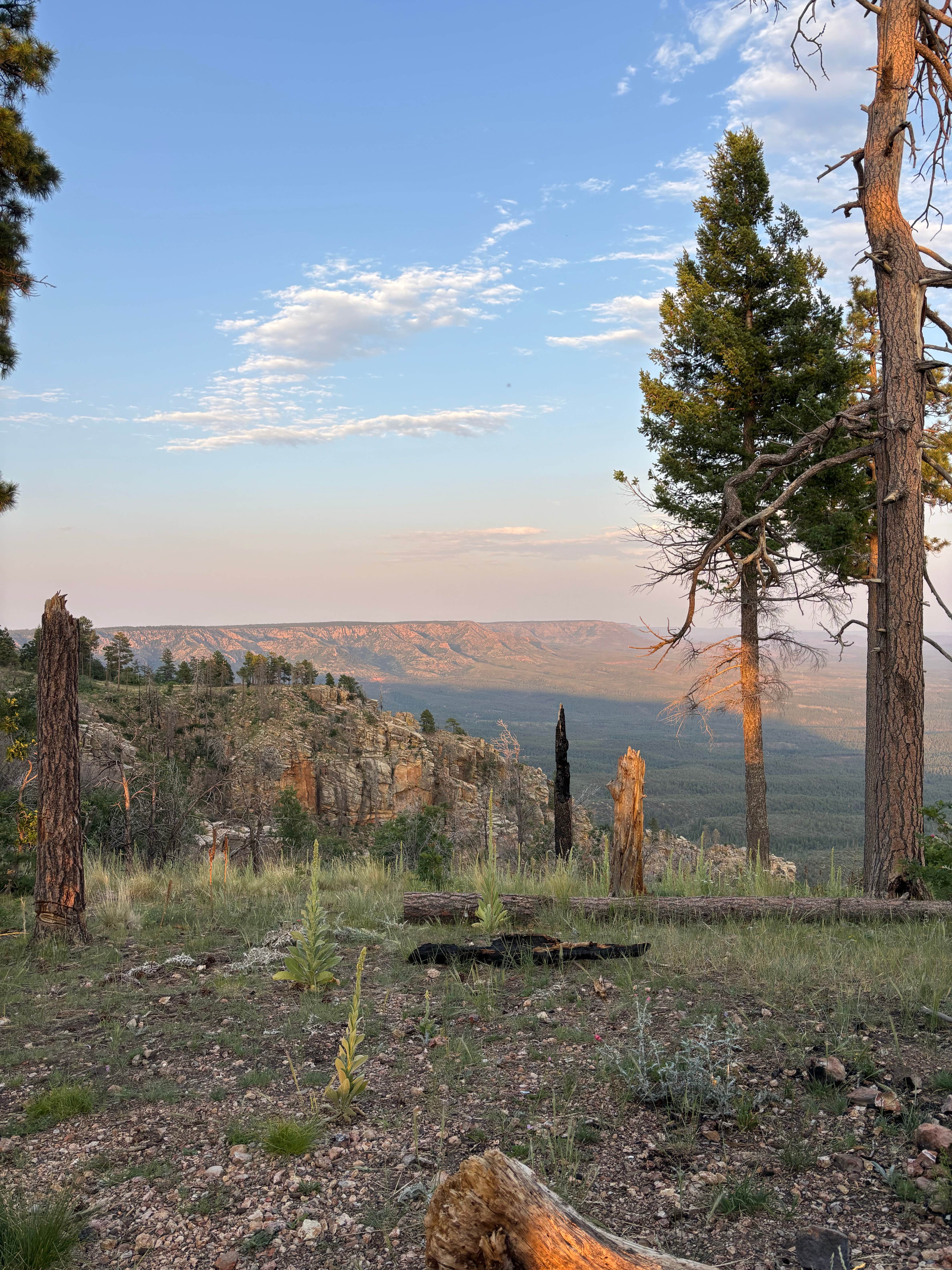 Camper-submitted photo at Payson Rim Dispersed near Payson, AZ
