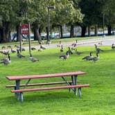 Review photo of Oneida Shores County Park by Shawn , September 17, 2025