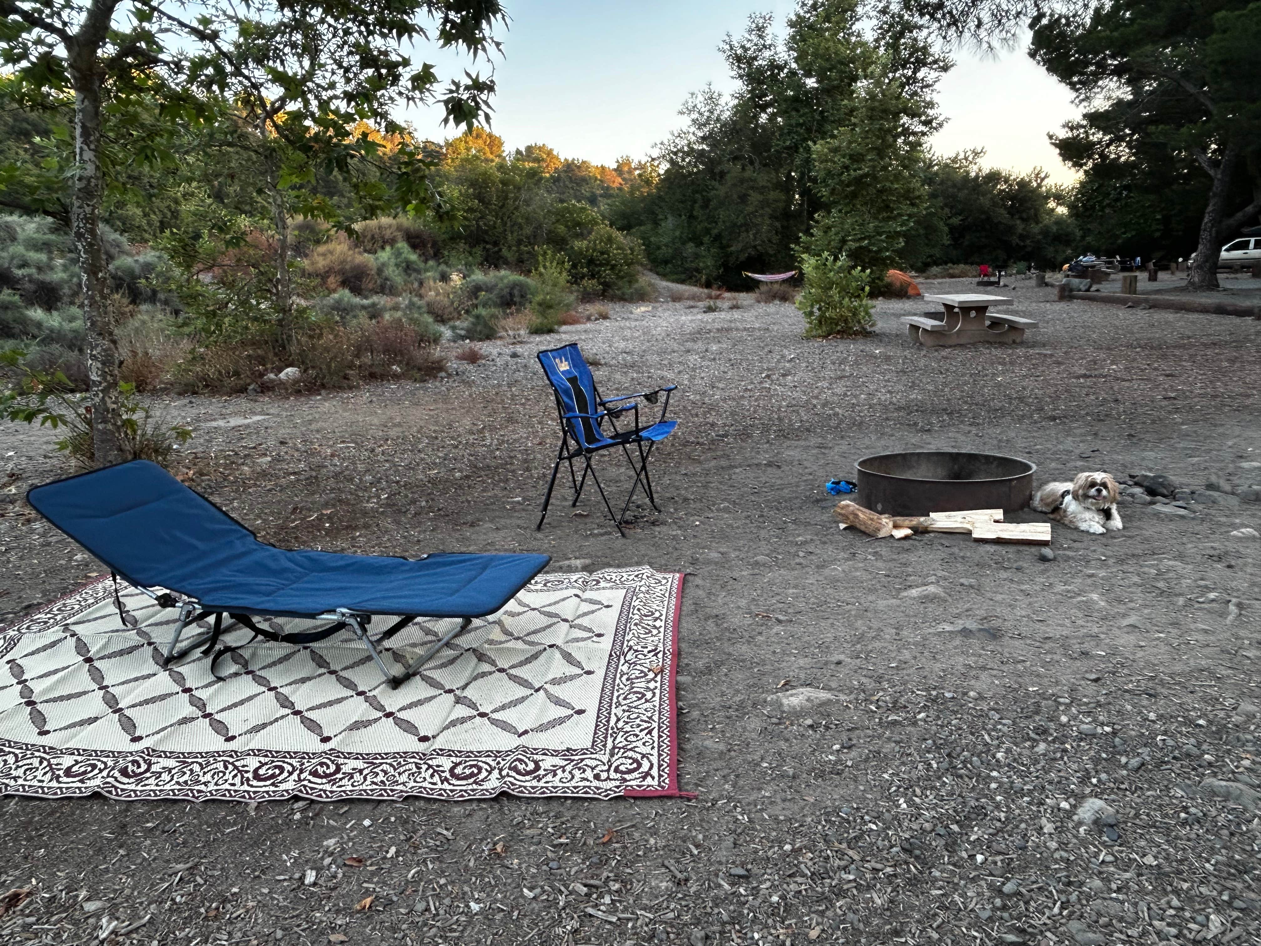 jennifer G.'s photo of camping with pets at O'Neill Regional Park near Lake Elsinore, CA