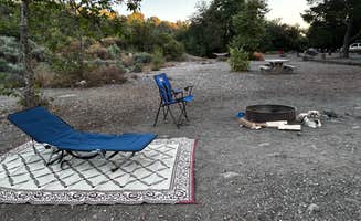 jennifer G.'s photo of camping with pets at O'Neill Regional Park near Chino, CA