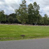 Review photo of O'Neill Regional Park by Kimberly L., April 5, 2026