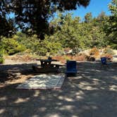 Review photo of O'Neill Regional Park by jennifer G., September 1, 2024