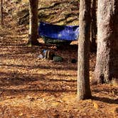 Review photo of Onion Mountain Park by Ricky H., November 20, 2025