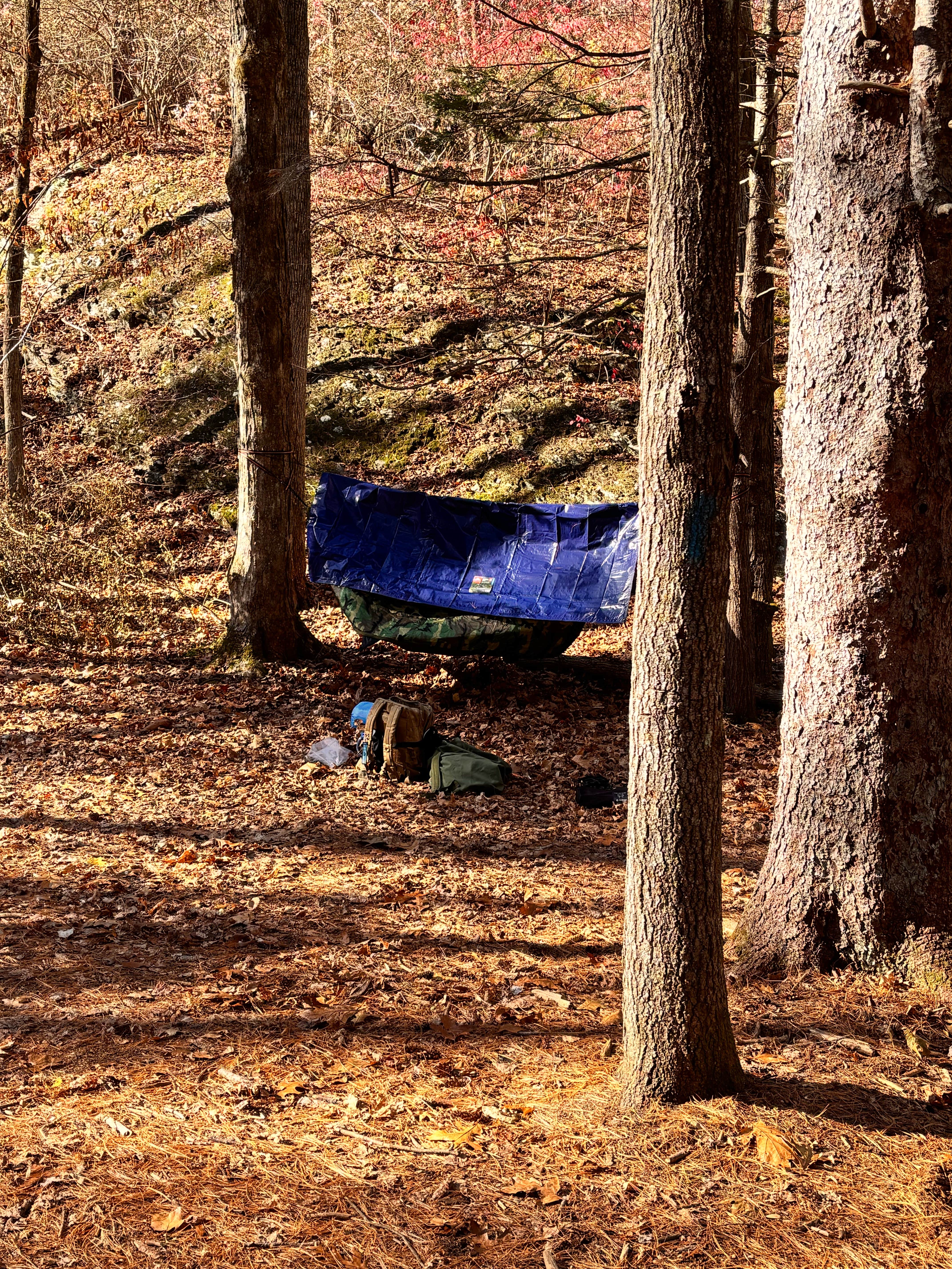 Camper submitted image from Onion Mountain Park - 3