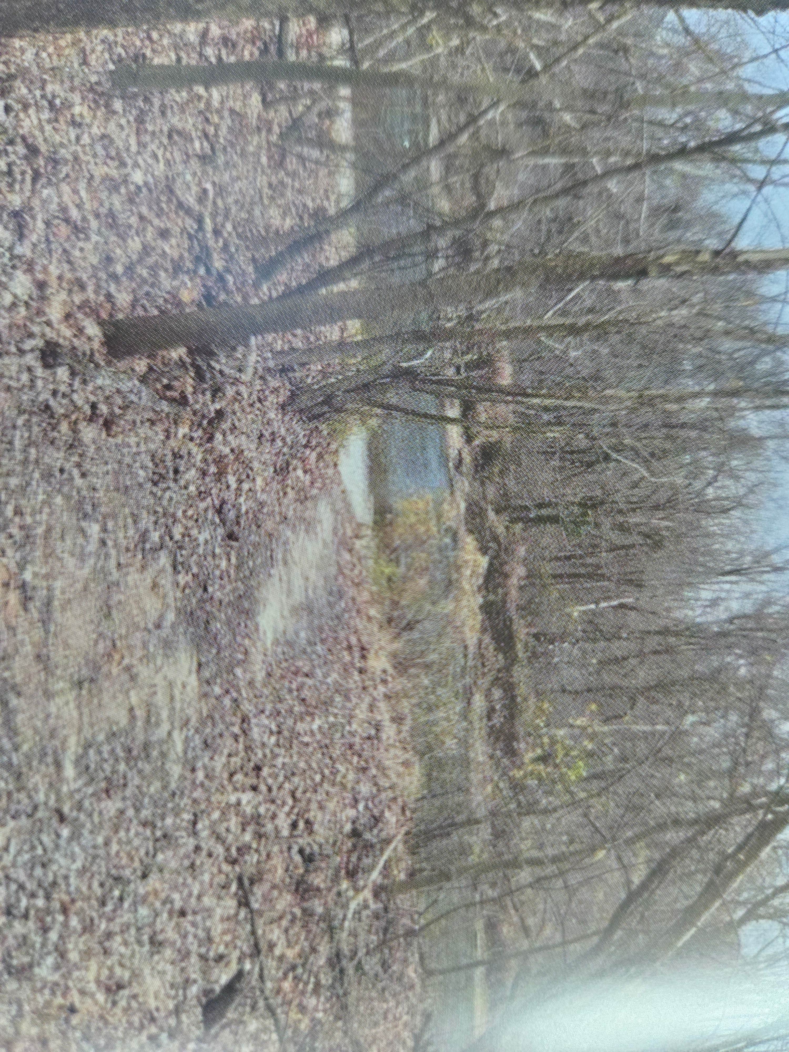 Roads