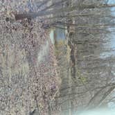 Review photo of onondoga Cave State Park by Shawn S., May 21, 2026