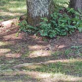 Review photo of Ontonagon Township Park and Campground by Andy M., August 13, 2026