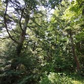 Review photo of Ontonagon Township Park and Campground by Andy M., August 13, 2026