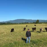 Review photo of Oostema Farmstead by Doreen G., June 10, 2025