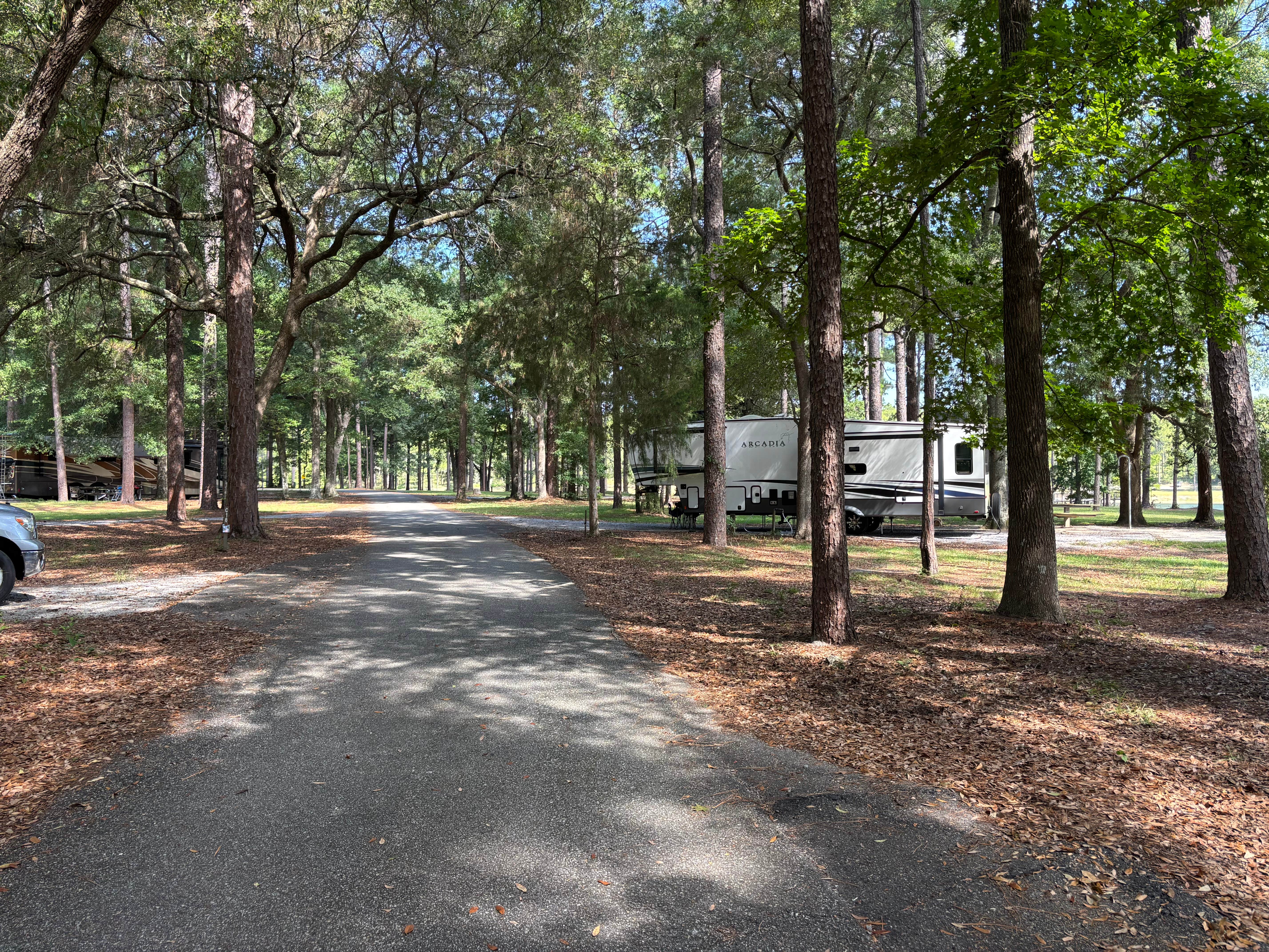 Camper submitted image from Open Pond Campground - 4