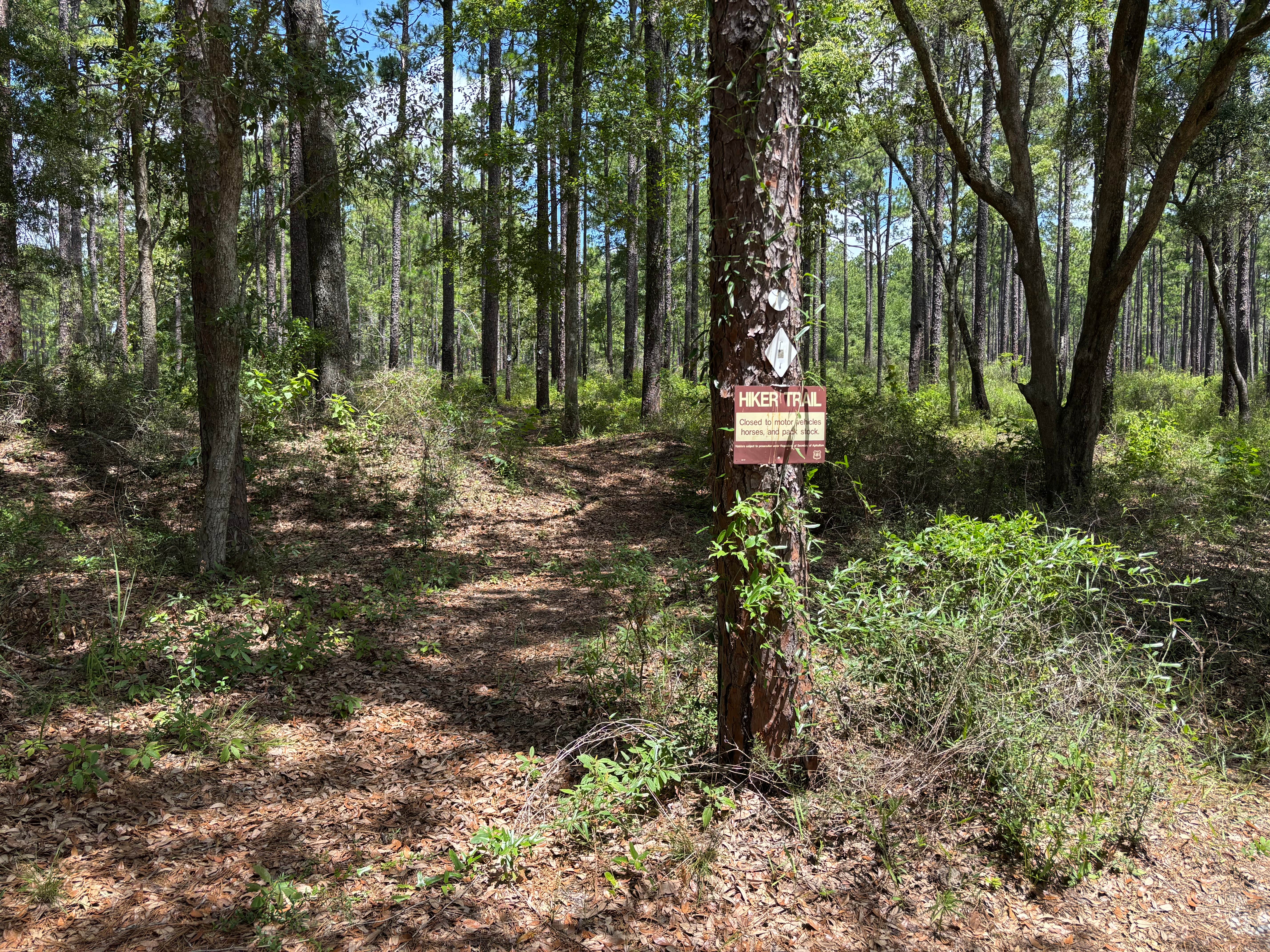 Camper-submitted photo at Open Pond Campground near Wing, AL