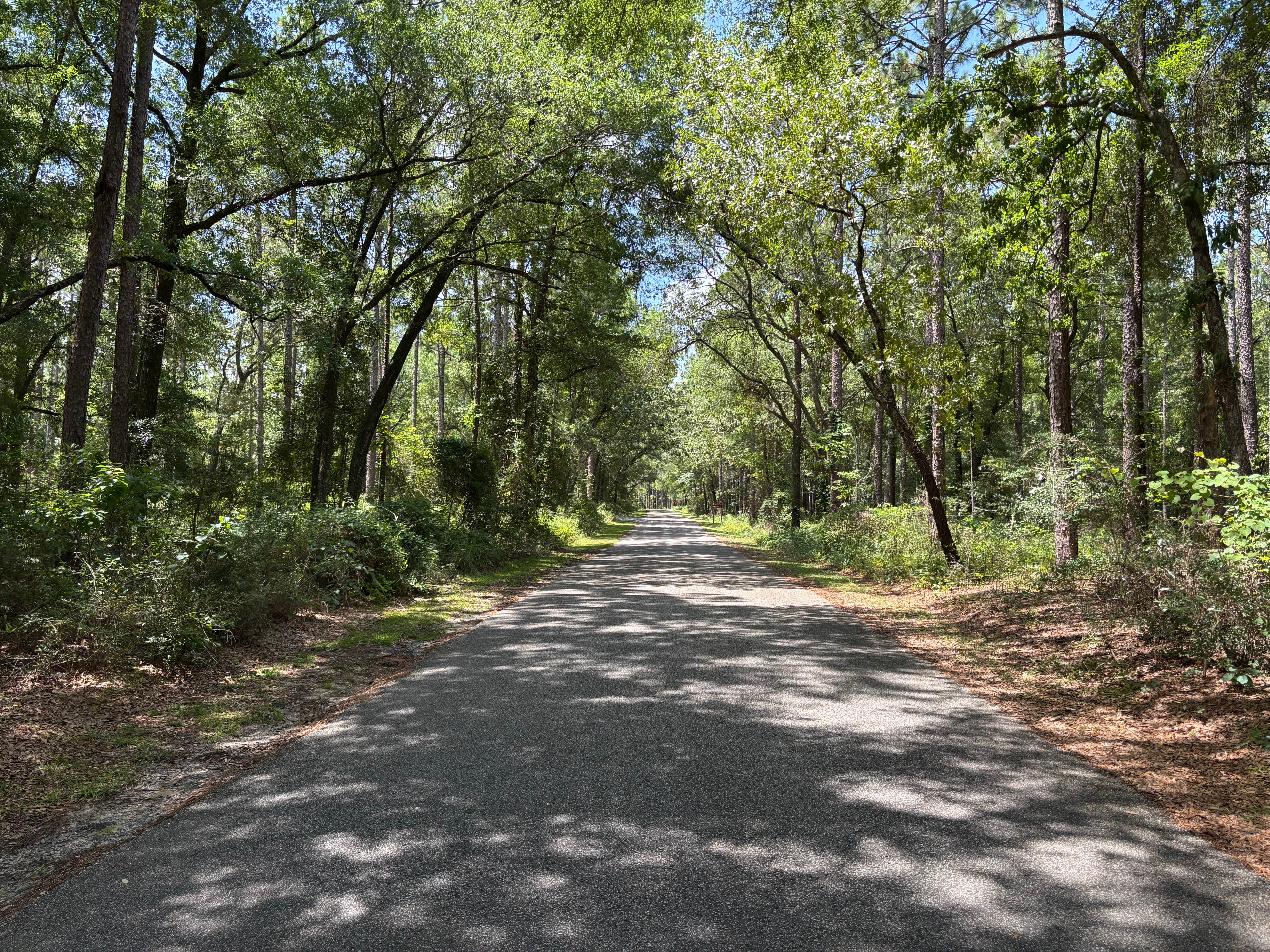Camper-submitted photo at Open Pond Campground near Wing, AL