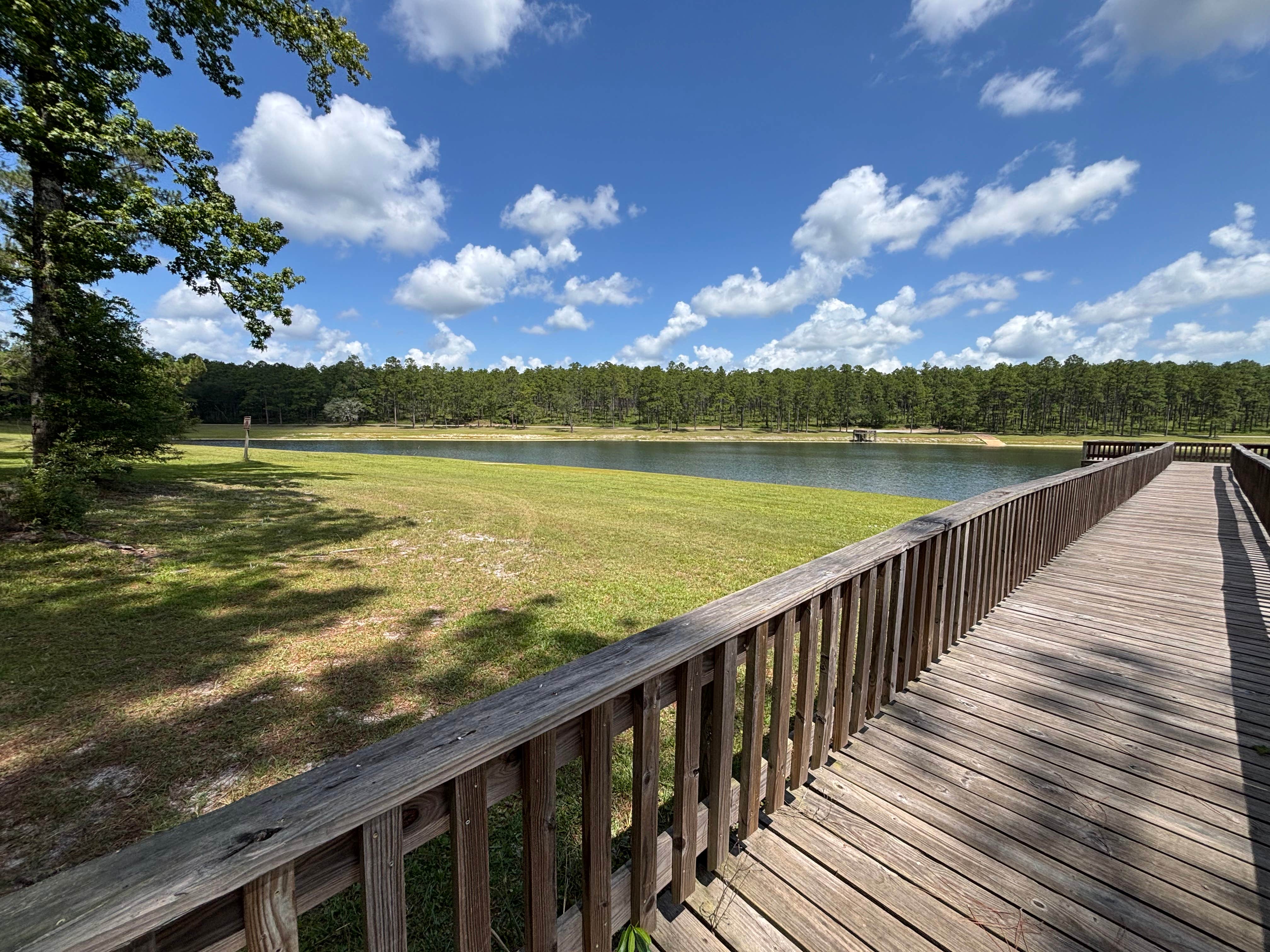 Camper submitted image from Open Pond Campground - 3