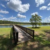 Review photo of Open Pond Campground by Paul M., July 14, 2025