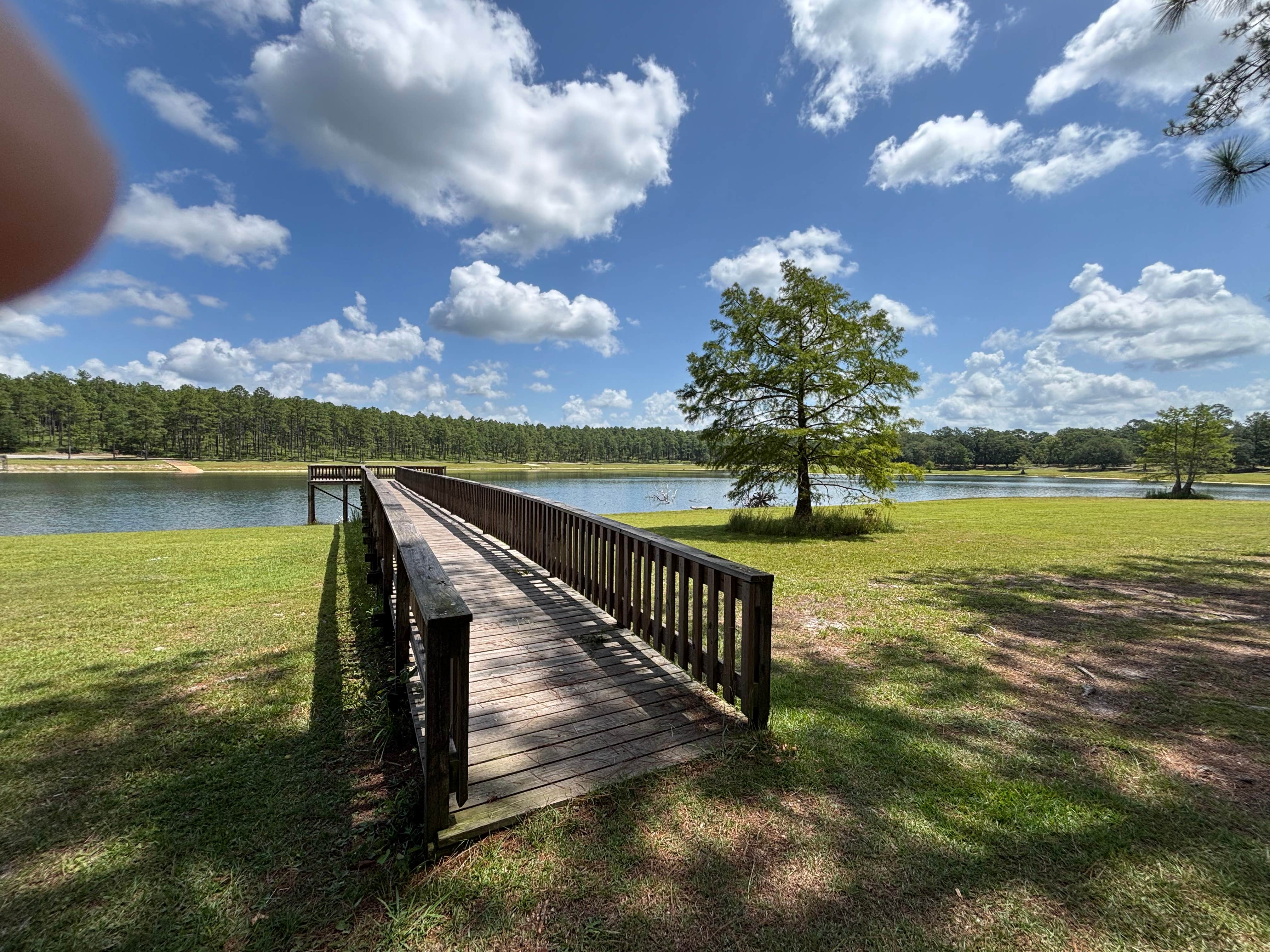 Camper submitted image from Open Pond Campground - 2